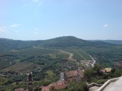 Motovun