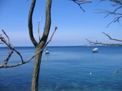 Istria